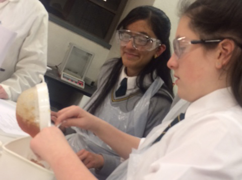 Pupils Visit Glasgow University to Tour Chemical Biology Lab